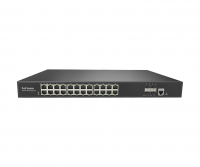 RVi-2NSM24G-4SP rev.2