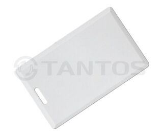 Tantos Temic (толстая) TS фото Tantos Temic (толстая) TS фото