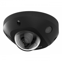 HikVision DS-2CD2543G2-IS(2.8mm)(BLACK)