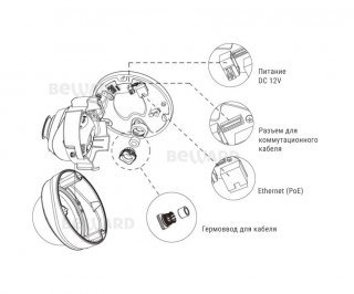 Beward SV3210DVZ фото