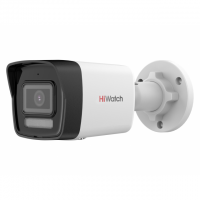 HiWatch DS-I450M(C)(2.8mm)