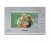 Commax CDV-71AM/VZ (CDV-71AM/Vizit) серебро