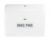 Болид МКС РИП